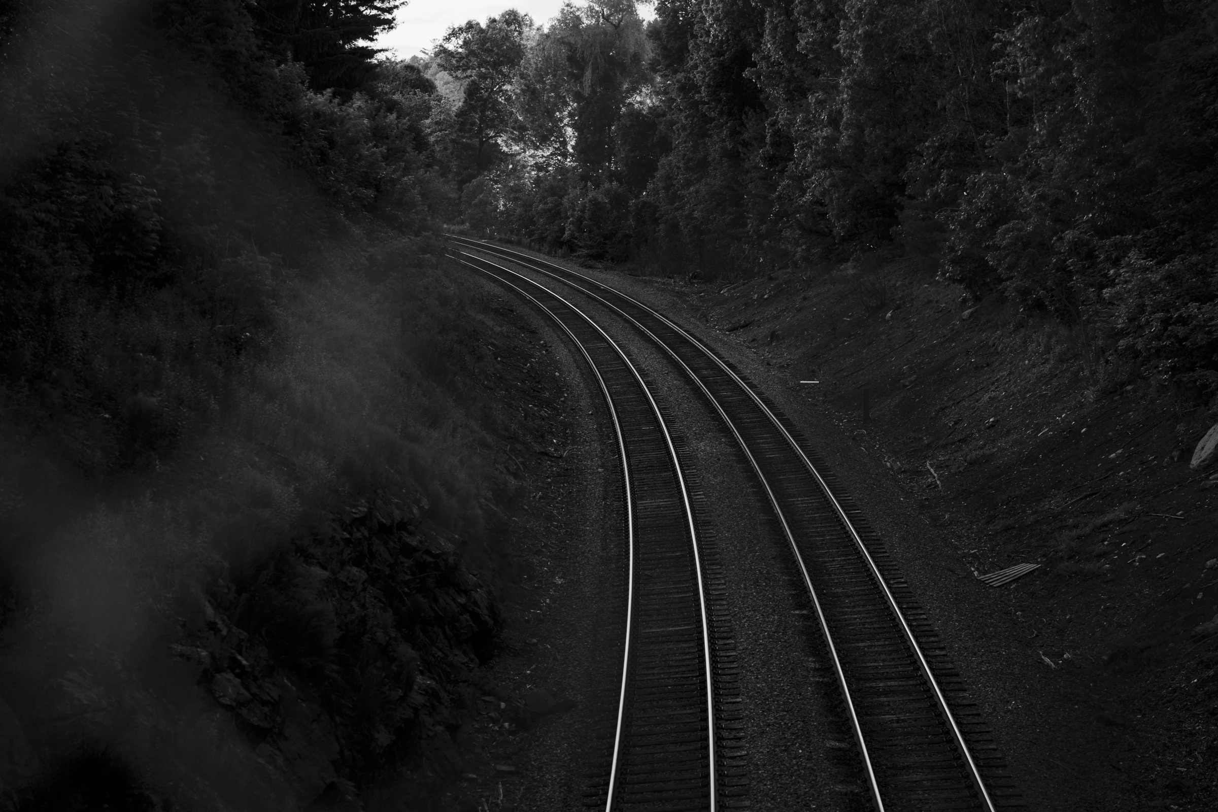 Photograph by Kai Herron (DSC05625)