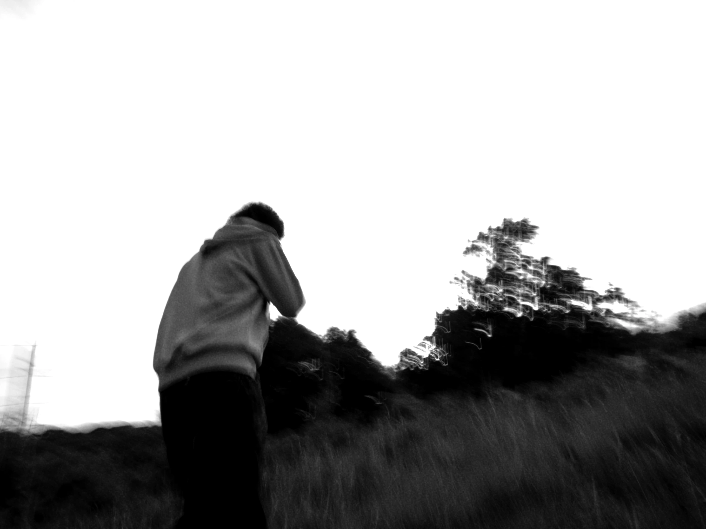 Photograph by Kai Herron (Still 2026-06-26 234711_4.1.1)